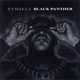 Illustration for article titled Were Getting a New iBlack Panther/i Comic, and It Sounds Absolutely Incredible